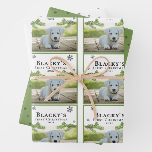 Erstes Weihnachtswelpen-Hund Schneeflocken-Foto Geschenkpapier Set (Beispiel)