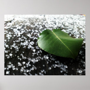 Erstes Winter-Wetter Poster