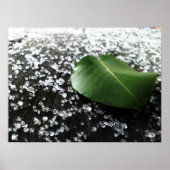 Erstes Winterwetter Poster (Vorne)