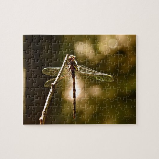 ERSTFLUG DER LIBELLE PUZZLE (Horizontal)