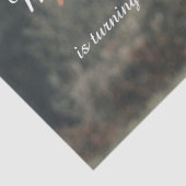 Erstgeburtsfeier des Hochlandkuhkalbs in Monogramm Seidenpapier (Detail)