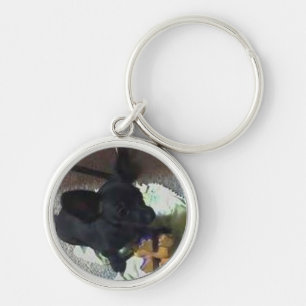 ERSTKLASSIGE SCHLÜSSELkette "DES BABY-POKEMON" Schlüsselanhänger