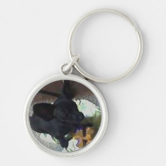 ERSTKLASSIGE SCHLÜSSELkette "DES BABY-POKEMON" Schlüsselanhänger