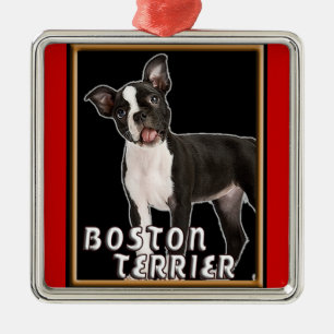 ERSTKLASSIGE WEIHNACHTSverzierung BOSTONS TERRIER Silbernes Ornament