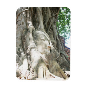 Erstklassiger Hauptmagnet Buddhas Magnet