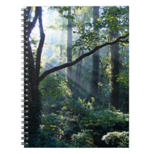 Erstlichtgerät Notizblock