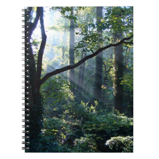 Erstlichtgerät Notizblock (Vorderseite)