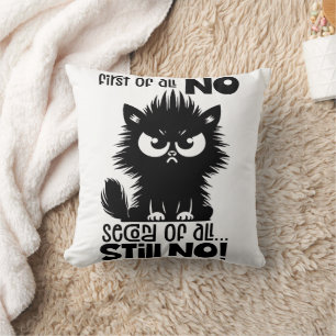 Erstmal kein lustiges Katzenliebhaber-Geschenk Kissen
