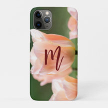 Erstmaliges Hübsches Geschenk Fotografie von Rose 