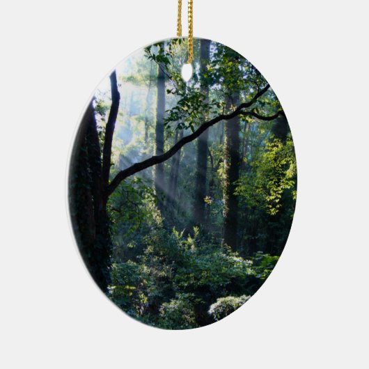 Erstmaliges Ornament (Rechts)