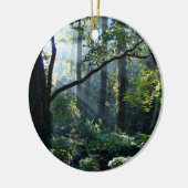 Erstmaliges Ornament (Links)