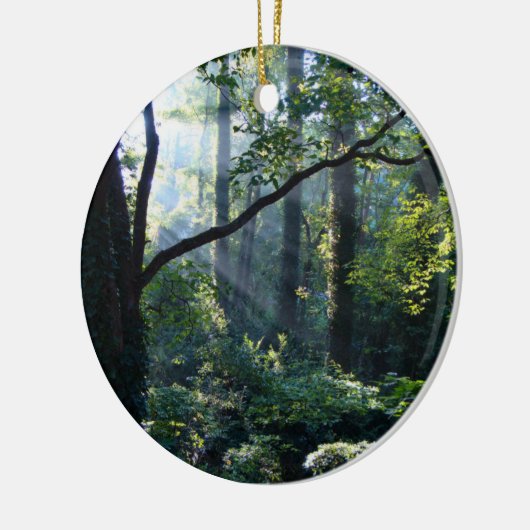 Erstmaliges Ornament (Links)