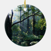 Erstmaliges Ornament (Hinten)