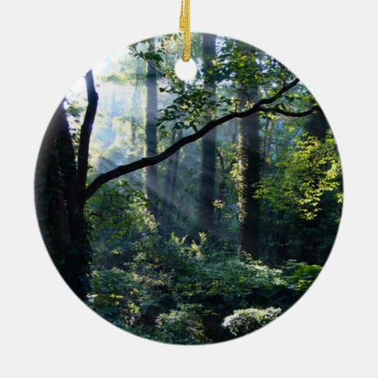 Erstmaliges Ornament (Hinten)