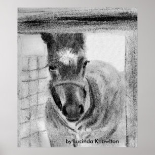 Erstmaliges Out von Lucinda Knowlton Poster