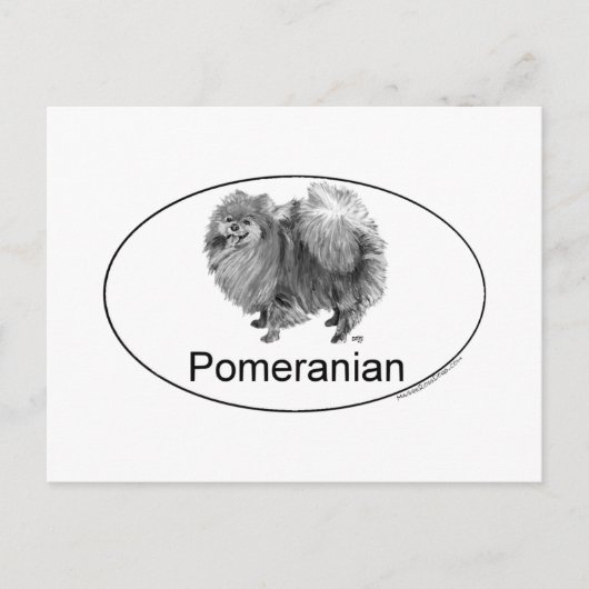 Eruo Spitz Dog Postkarte (Vorderseite)