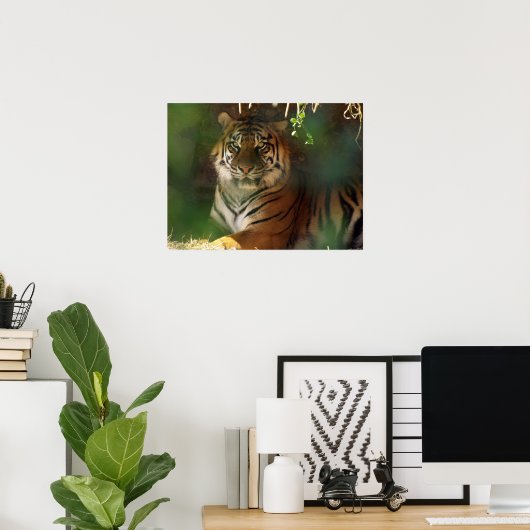 Erwachen Tiger Poster (Heimbüro)