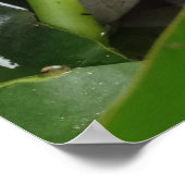 Erwachen von Fotografie Poster (Ecke)