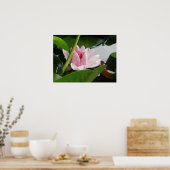 Erwachen von Fotografie Poster (Küche)