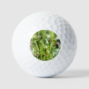 Erwachender junger Farn im Garten  Golfball
