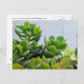 Erwachsen in einer Oxnard Keramik Pot... Kaliforni Postkarte (Vorne/Hinten)