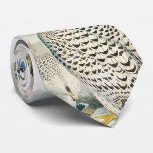 Erwachsene dunkle Grönland-Falke-Vögel von Krawatte