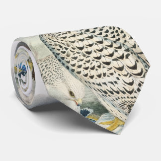 Erwachsene dunkle Grönland-Falke-Vögel von Krawatte