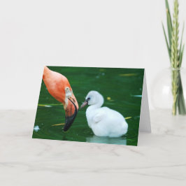 Erwachsene Flamingo-und Küken Gruß-Karte Karte