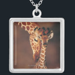 Erwachsene Giraffe mit Kalb (Giraffa Versilberte Kette<br><div class="desc">Animals->Giraffe</div>