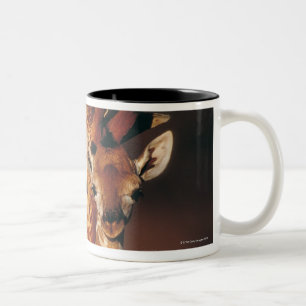 Erwachsene Giraffe mit Kalb (Giraffa Zweifarbige Tasse