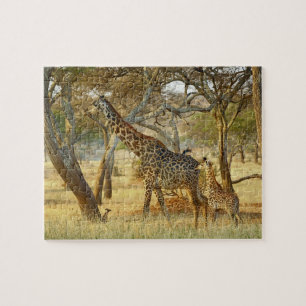Erwachsene Giraffenkuh und Jungtier, Giraffa Puzzle