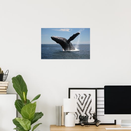 Erwachsene Humpback Whale Breaching Poster (Heimbüro)