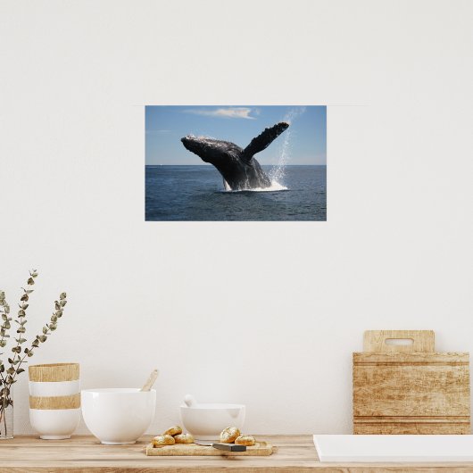 Erwachsene Humpback Whale Breaching Poster (Küche)
