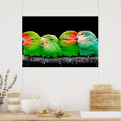 Erwachsene Kanarienvögel sind kleine Vögel, etwa 1 Poster (Küche)