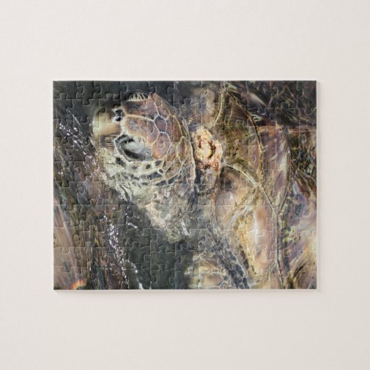 Erwachsene Meeresschildkröte Puzzle (Horizontal)