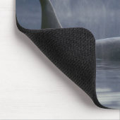 Erwachsene Orca Whale Orcinus Orca), Puget Mousepad (Ecke)