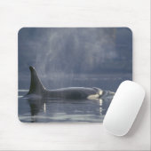 Erwachsene Orca Whale Orcinus Orca), Puget Mousepad (Mit Mouse)