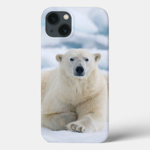 Erwachsene polare betreffen das SommerPackeis Case-Mate iPhone Hülle