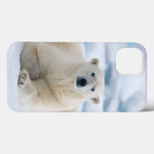 Erwachsene polare betreffen das SommerPackeis Case-Mate iPhone Hülle (Rückseite (Horizontal))