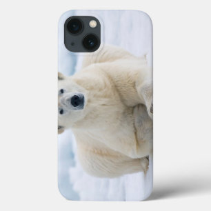 Erwachsene polare betreffen das SommerPackeis Case-Mate iPhone Hülle
