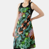 Erwachsene Schürze Ivy und Felsstein (InSitu)