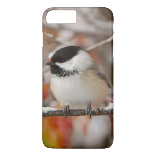 Erwachsene Schwarzkappenmeise im Schnee Case-Mate iPhone Hülle
