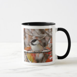 Erwachsene Schwarzkopfmeise im Schnee Tasse