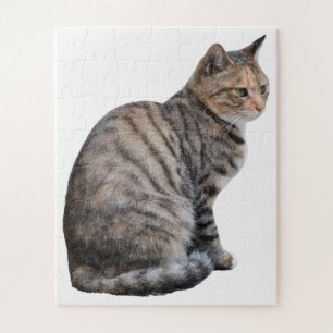 Erwachsene Tabby Cat Puzzle