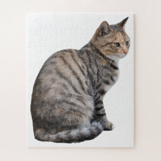 Erwachsene Tabby Cat Puzzle