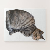Erwachsene Tabby Cat Puzzle (Horizontal)
