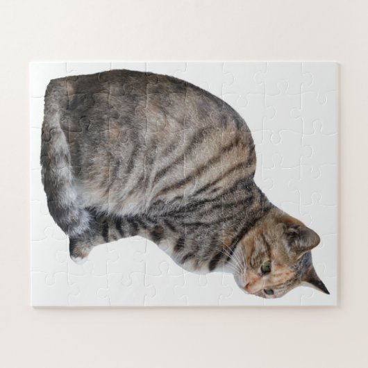 Erwachsene Tabby Cat Puzzle (Horizontal)