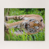 Erwachsene Tiger, die unter hellgrünen Blätter wac Puzzle (Horizontal)