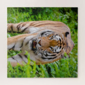 Erwachsene Tiger, die unter hellgrünen Blätter wac Puzzle (Horizontal)