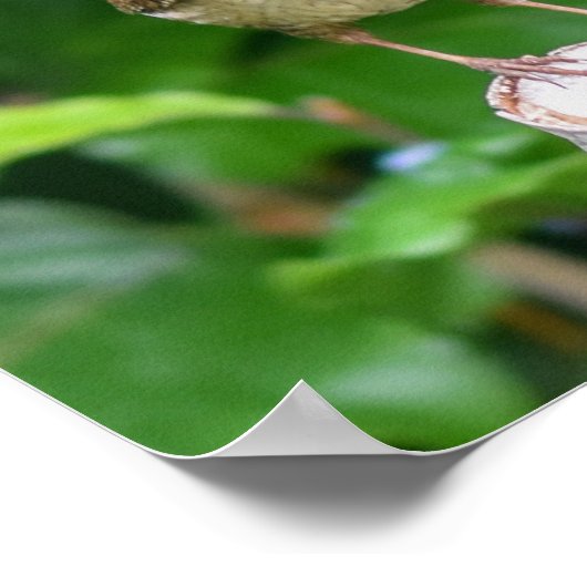 Erwachsene wackelten mit einem Bug in den Mund Poster (Ecke)